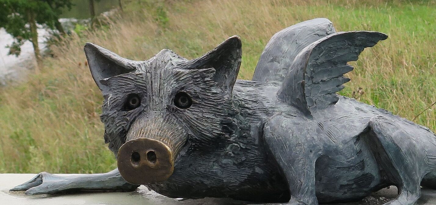 Grüngürteltier Grüngürteltier