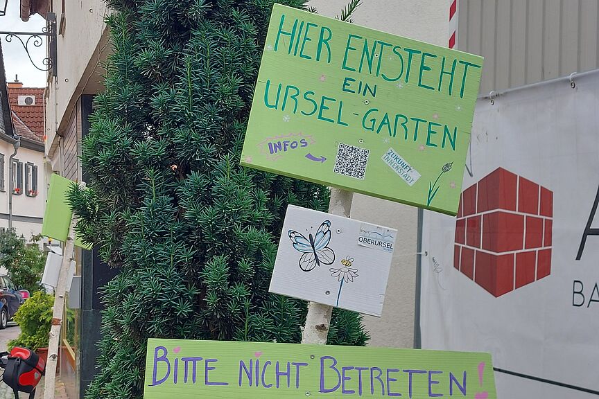 Urselgärten waren Thema bei der Tour 2024 Impression von der Klimatour 2024