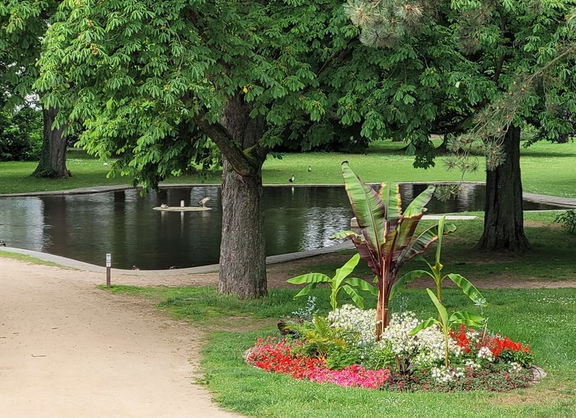 See im Kurpark Bad Vilbel